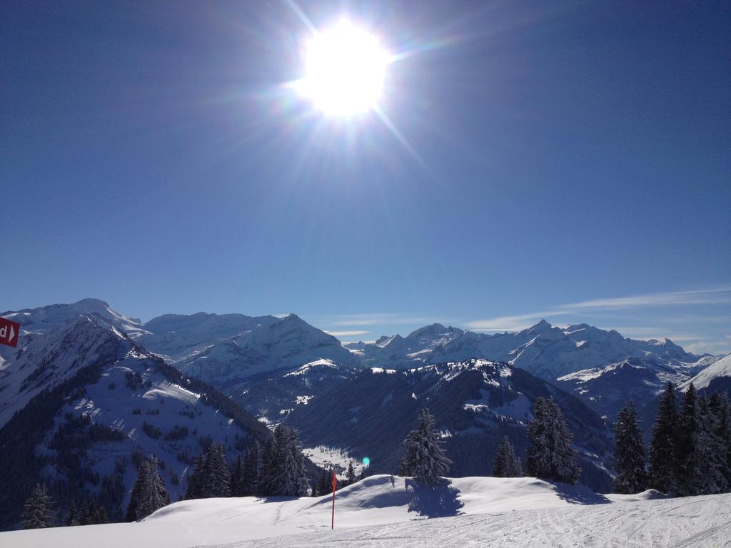 Vista Zweisimmen